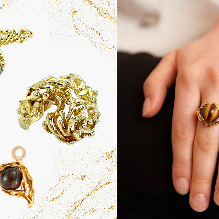 Focus Gilbert Albert