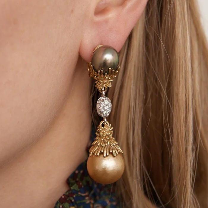 Fred, la Force du design