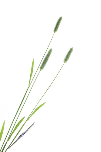 25141-0140.p01_Dutch Art Deco Bar Brooch with Diamonds and Sapphires  Circa 1920-en.jpg