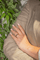 2764396CN12.png