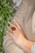 3105052CN02.png