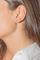 3148550CN02.png