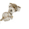 Boucles d'oreilles Boucles d’oreilles pendantes en or jaune 18 ct, quartz fumé et perles 58 Facettes 31650