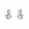 Boucles d'oreilles Boucles d’oreilles puces en or blanc 18 carats et diamants 58 Facettes 4155737CN