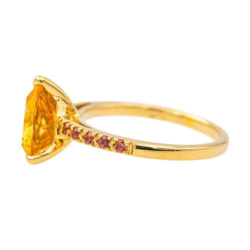 Bague 53 Bague en or jaune 18 carats citrine et grenats 58 Facettes 4167003RV