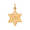 Pendentif Pendentif étoile de David en or jaune 18 carats 58 Facettes 4712885CN