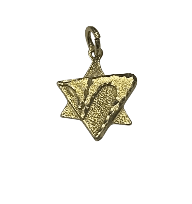 Pendentif Pendentif Israel 58 Facettes LP848