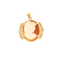 Pendentif Pendentif Camée or jaune 58 Facettes LP903