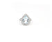 Bague 54 Bague en or blanc 18 ct avec aigue-marine 3,63 ct et diamants 0,66 ct 58 Facettes 14262