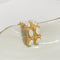 Earrings Vintage 14-carat yellow gold and opal earrings 58 Facettes 2870