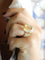 Bague 55.5 Bague cocktail citrine en or jaune 18 carats 58 Facettes 1CA0000063/1