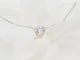 Collier Collier solitaire en or blanc 18 ct et diamant 0,77 ct 58 Facettes 31186