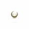 Broche Broche croissant en platine et or jaune 750 avec diamants 58 Facettes Z15B51752