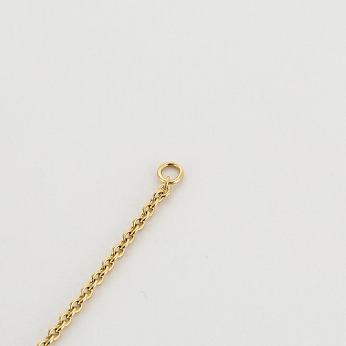 Bracelet CARTIER -  Bracelet  LOVE sur chaîne en or jaune 58 Facettes DV20344-1