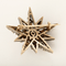 Elegant Napoleon III period brooch in rose gold doubled with silver featuring a star motif