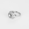 Other 18k white gold ring Diamond and rose-cut diamonds