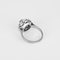 Other 18k white gold ring Diamond and rose-cut diamonds