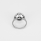 Other 18k white gold ring Diamond and rose-cut diamonds