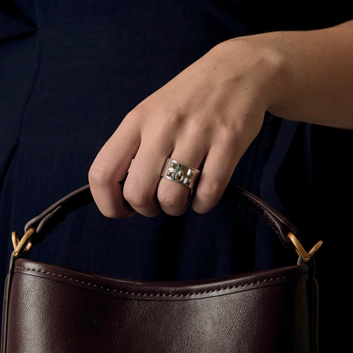Hermès - Dog Collar - Ring in silver