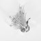 Broche em Ouro branco 18k Diamante