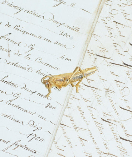 Broche Antik guldbrosche i 18kt guld og diamanter formet som en græshoppe 58 Facettes