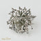 Pendentif Broche/Pendentif - Motif fleur en or blanc et diamants 2,4 ct 58 Facettes 1840