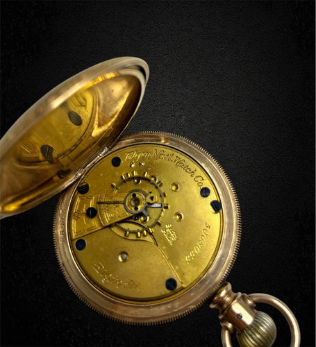 Montre Elgin National Watch Co. avec caisse Fahys Montauk n.1 58 Facettes