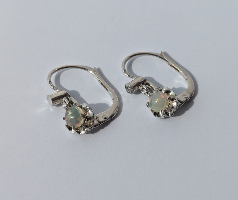 White gold opal sleeper earrings