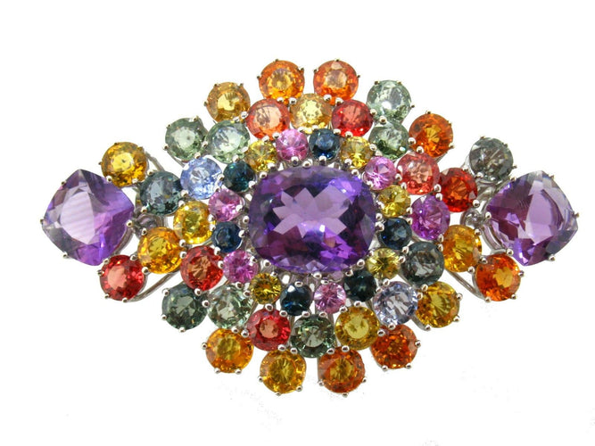 Broche Broche avec améthystes et saphirs fantaisie 58 Facettes