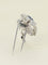 Broche MAUBOUSSIN Broche or blanc saphir diamants taille ancienne 58 Facettes 342