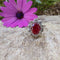 Bague 50 Bague marguerite rubis et diamants 58 Facettes 46