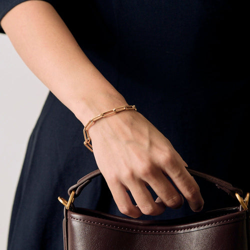 黄金手镯， 链节 定罪