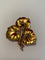 Broche Broche en or Buccellati 58 Facettes