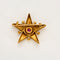 Broche Broche étoile or jaune, rubis et perles 58 Facettes BLO0159