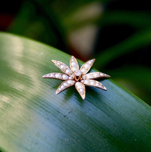 Pendentif Pendentif fleur édouardien en or 14 carats, diamants et perles 58 Facettes A20011