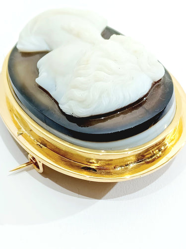 Broche Broche camée or rose et agate 58 Facettes