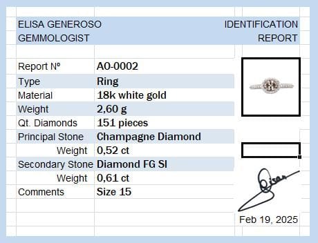 Bague 55 Bague en or avec diamant champagne et diamants blancs 58 Facettes AO-0002