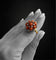 Bague Bague de style baroque, corail et diamants 58 Facettes