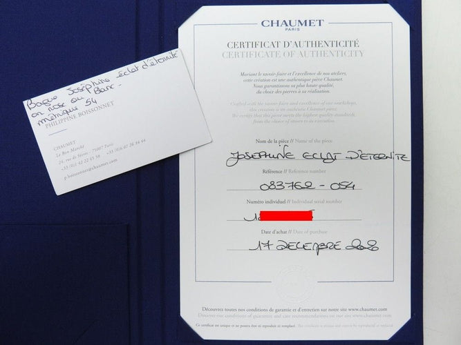 Bague 54 bague CHAUMET triomphe josephine eclat d'eternite platine 58 Facettes 259901