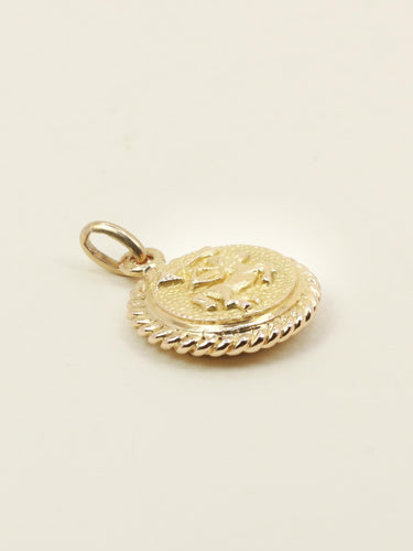 Pendentif Médaille zodiaque Sagittaire or jaune rubis 58 Facettes 1194.1