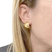 Boucles d'oreilles Boucles d'oreilles Poiray, or jaune, diamants bruns. 58 Facettes 33591