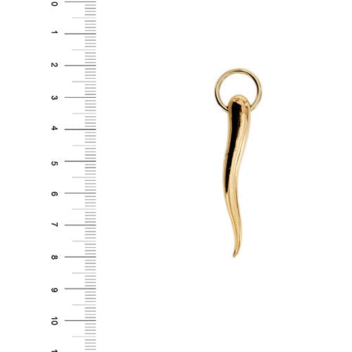 Pendentif Pendentif corne porte-bonheur 58 Facettes 35814