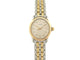 Montre montre CHAUMET paris 1780 quartz 27 mm diamants or & acier palladie 58 Facettes 260928