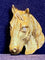 Broche Broche cheval en or jaune et diamants 58 Facettes