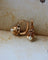 Boucles d'oreilles Paire de Dormeuse Perle et Or Rose 58 Facettes A11656