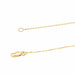 Collier Collier Or jaune Diamant 58 Facettes 579076RV