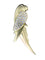 Broche Broche or jaune perroquet sertie de 1,10 carats 58 Facettes