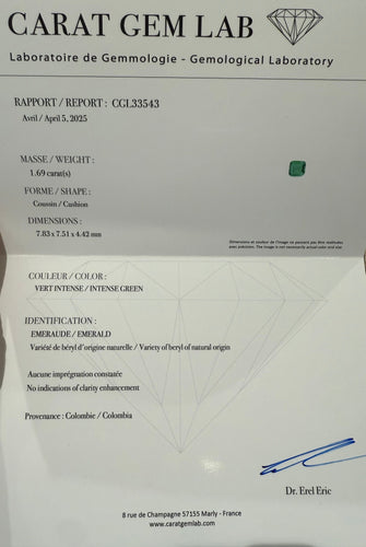 Bague 53 Bague Marguerite Or blanc Émeraude 1,69 carats et Diamants 58 Facettes 1.0000493/1