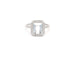 Bague 53 Bague en or blanc avec une aigue-marine de 2,70 ct et des diamants de 0,25 ct 58 Facettes 14311