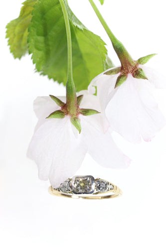 Menneisyyden kuiskaukset: Renessanssin timanttisormuksen tarina 